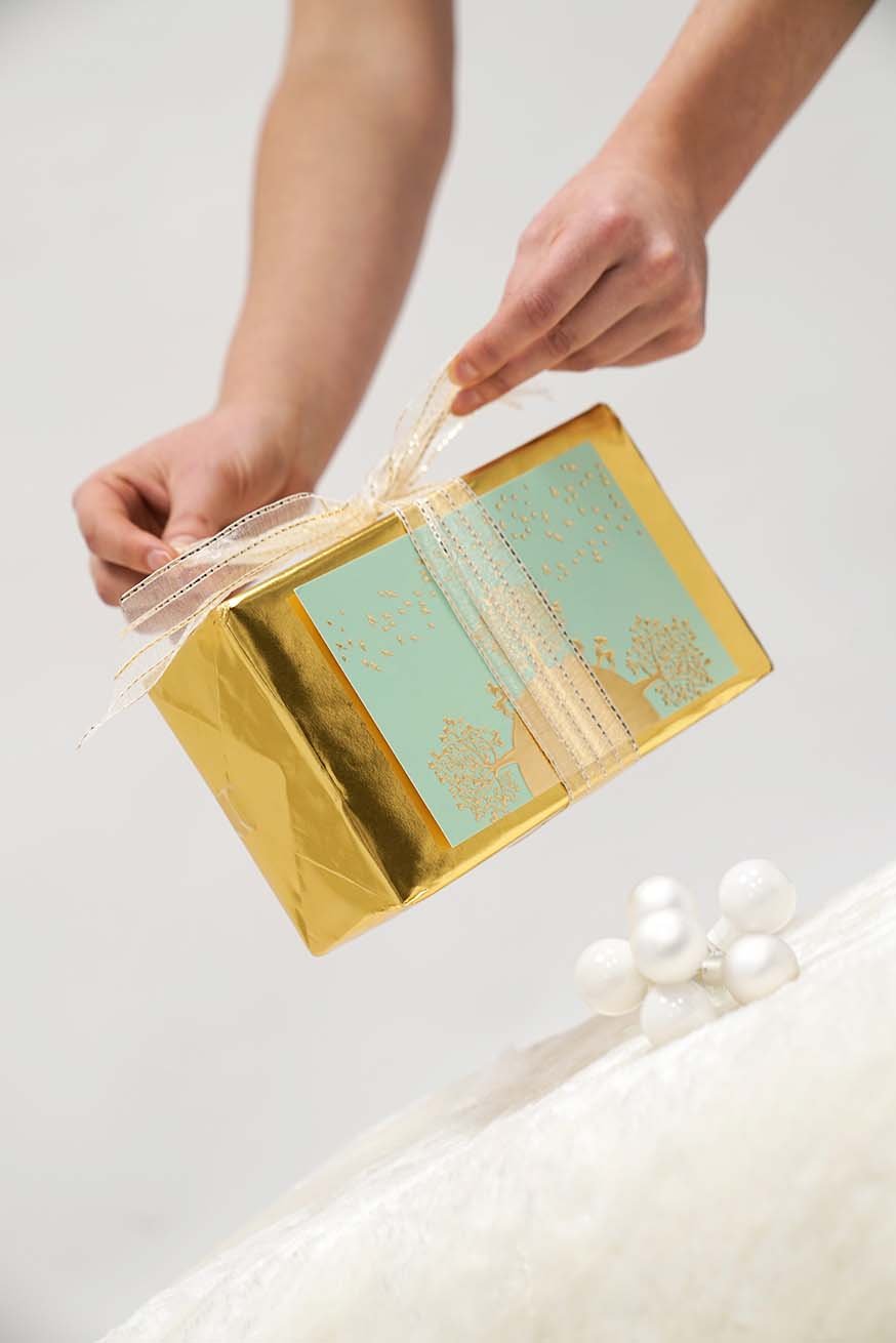 Erikoiskuljetuskonsultin todistus – Premium-paketti – KOKADI